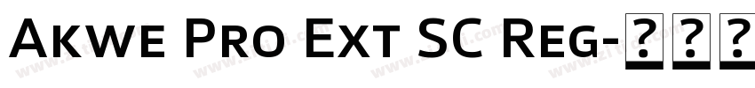Akwe Pro Ext SC Reg字体转换
